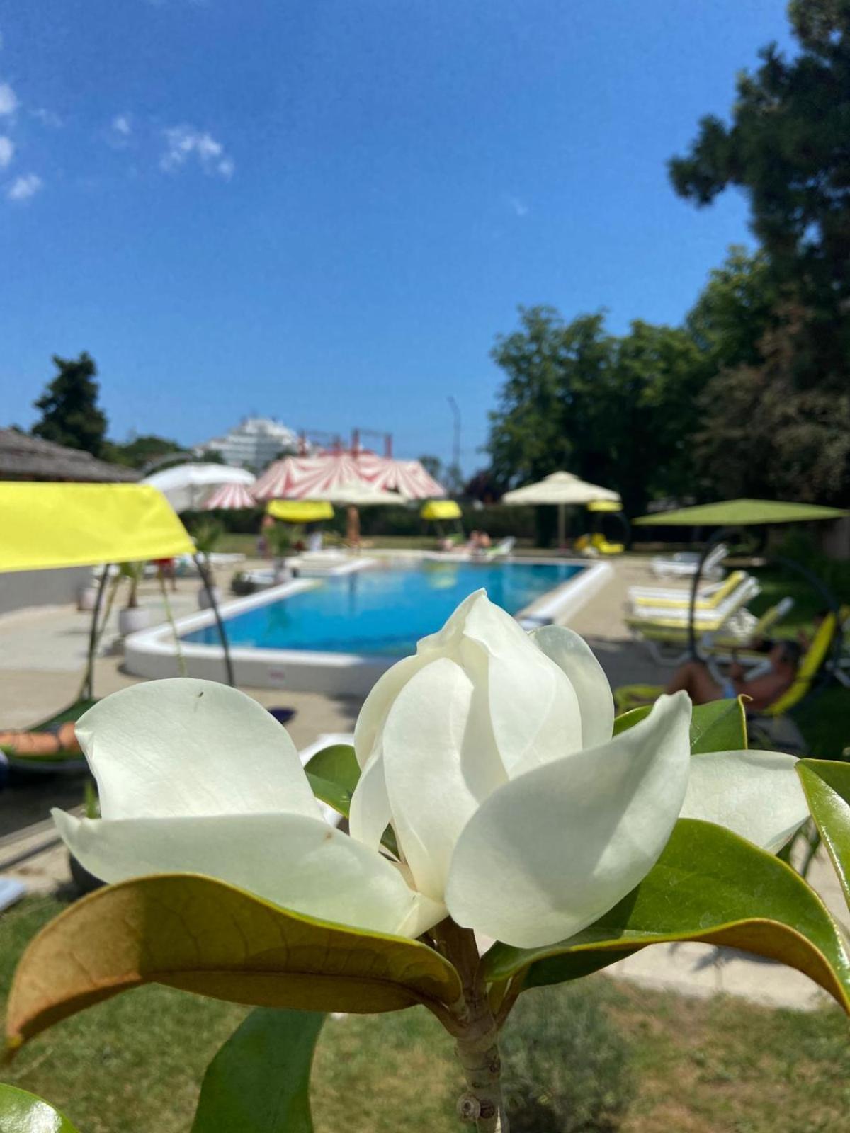 ונוס Hotel Iulia Resort מראה חיצוני תמונה